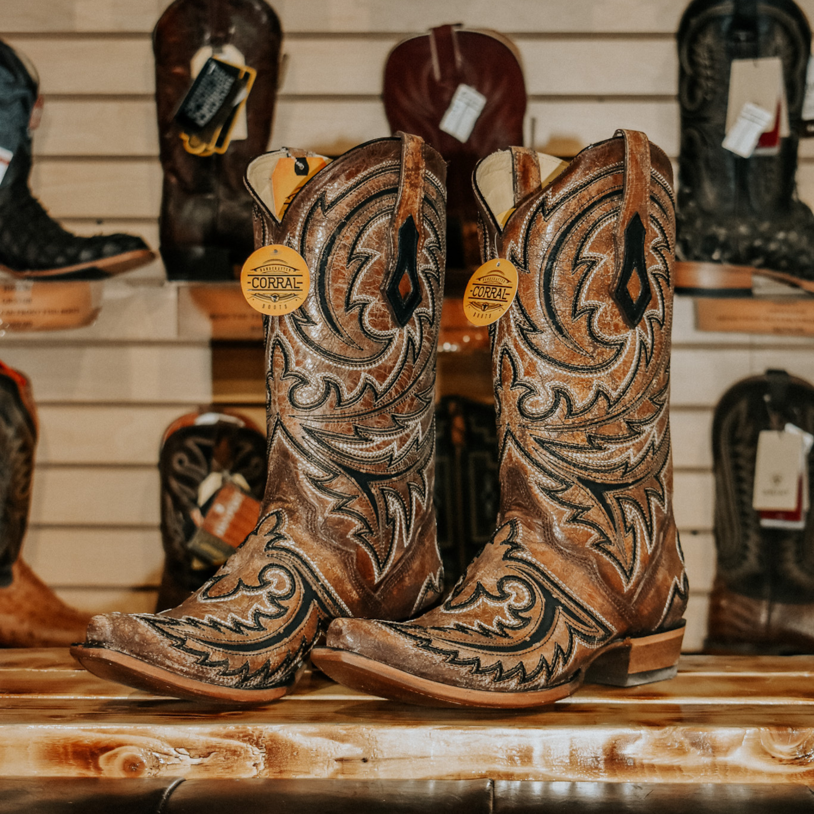 Corral Designer Boots Sandstone Stallion Corral Boots | Bronco Western Supply Co main image 4